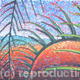 Palms
