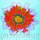 Anna's Daisy