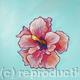 Hattie's Hibiscus