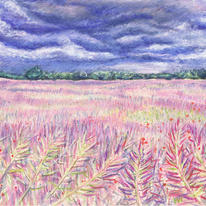 Storm Brewing over a Summer Field