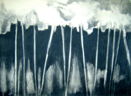 Poles apart