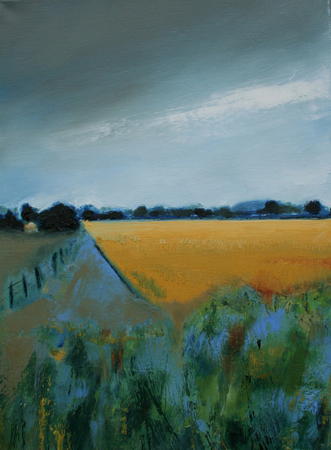 Summer Fields near Ancrum