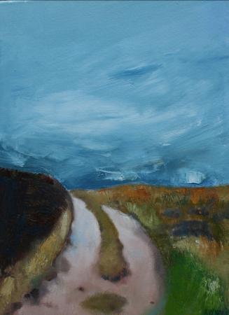 Track through the Eildons