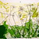 | | 24 x 23cm | oil on paper