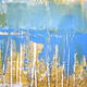Blue Horizon Study