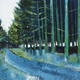 Blue Trail