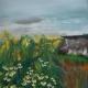Michaelmas Daisies