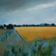 Summer Fields near Ancrum