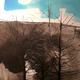Trees by Eas Mor sketch