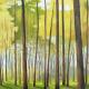 Outwoods