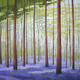 Bluebell woods 1