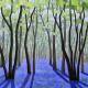 Bluebells