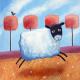 Baa bara