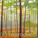 Autumn-mist