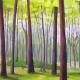 Morning-woodland