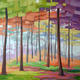 Colours