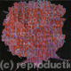 Moxa (2010) | £1500 | 40 x 40cm | oil on canvas Moxa (2010)