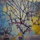 First blossom and Forsythia
