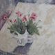 Geraniums, bagged