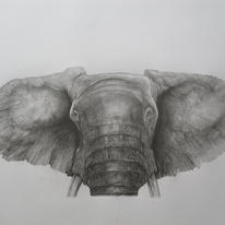 Elephant Head