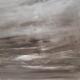 gower shoreline