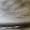 seascape 3