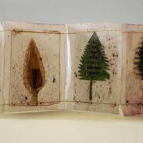 Tea for all Seasons