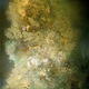 Pillars of Creation