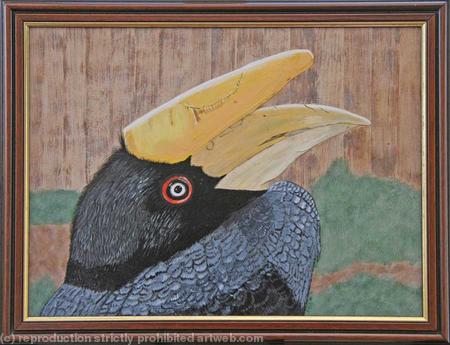 Hornbill