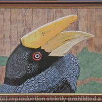 Hornbill