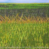 Summer Fields, Chedworth