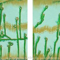 Cactus Abstractus
