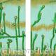 Cactus Abstractus