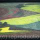 Aerial Landscape
