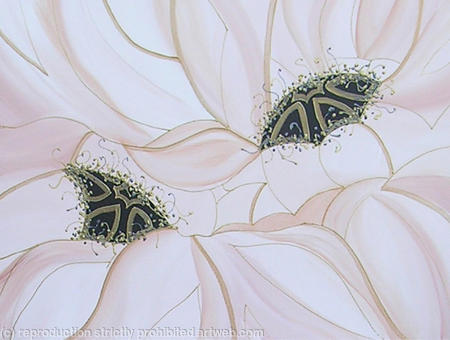 Fawn Poppies
