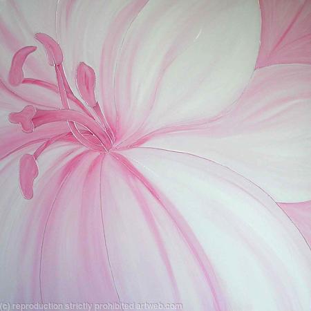 Pink Lily