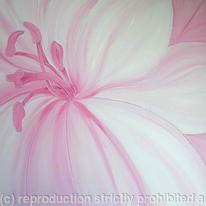 Pink Lily