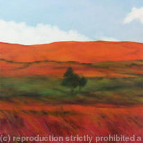 Lonely Tree at Lyme Park