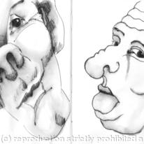 Mens Heads