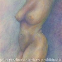 TORSO