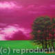 Magenta Skies