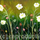 Garden Delight