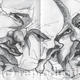 Mens Heads