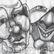 Mens Heads