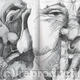 Mens Heads
