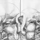 Mens Heads