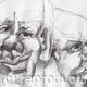 Mens Heads
