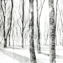 Forest Lightning