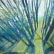 Avian Echoes | £32 | 30 x 21cm | Oil Pastel on Card Avian Echoes