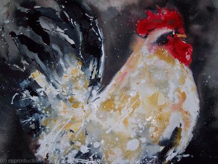White cockerel
